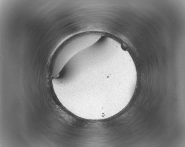 X0000063520926200602172210