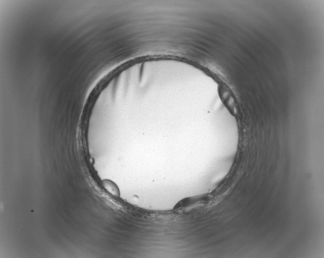 X0000063520928200602172210