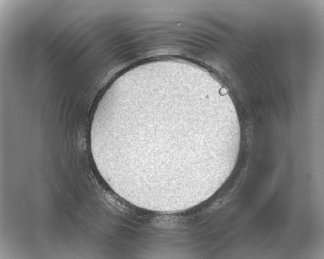 X0000063520929200602172210