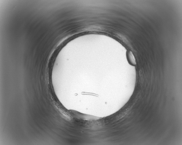 X0000063520931200602172210