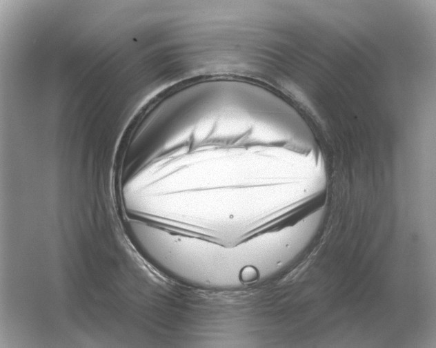 X0000063520932200602172210