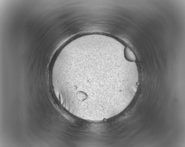 X0000063520933200602172210