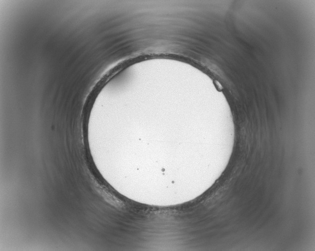 X0000063520934200602172210