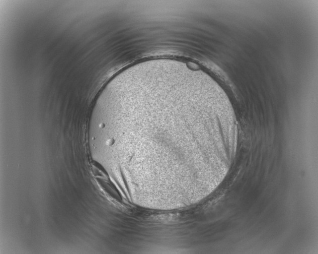 X0000063520937200602172210