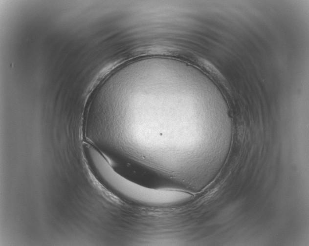 X0000063520938200602172210