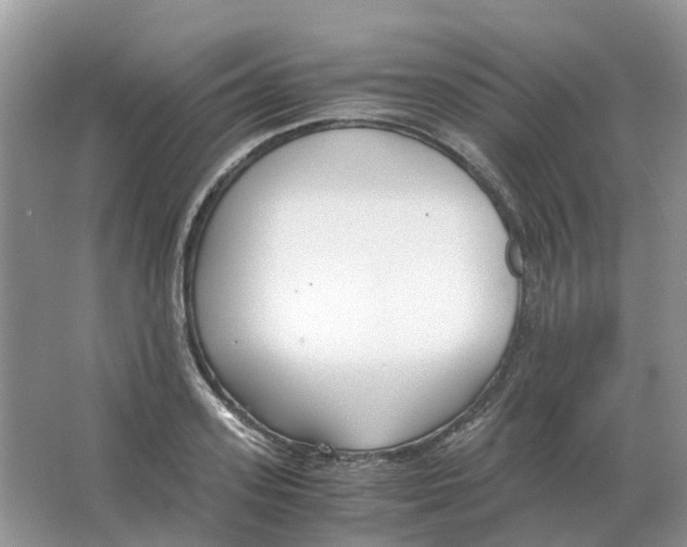 X0000063520939200602172210