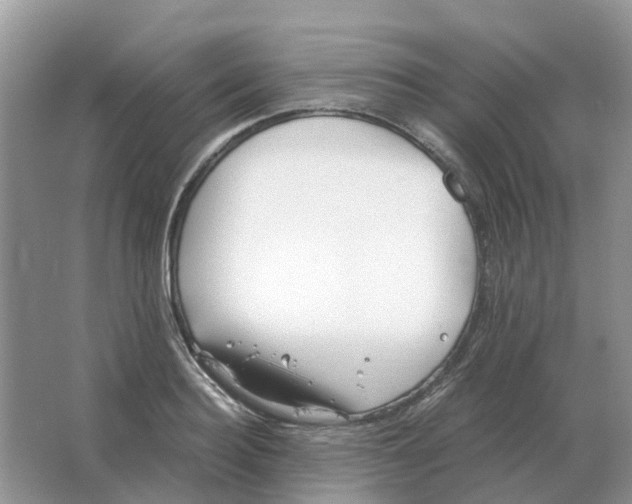 X0000063520940200602172210