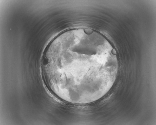 X0000063520941200602172210