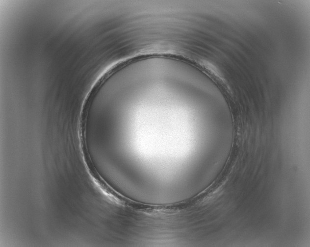 X0000063520942200602172210