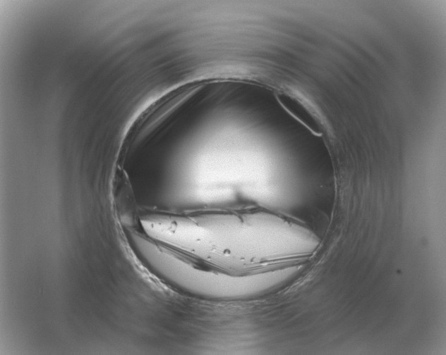 X0000063520944200602172210