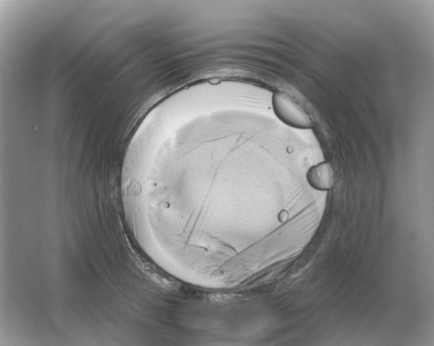 X0000063520945200602172210