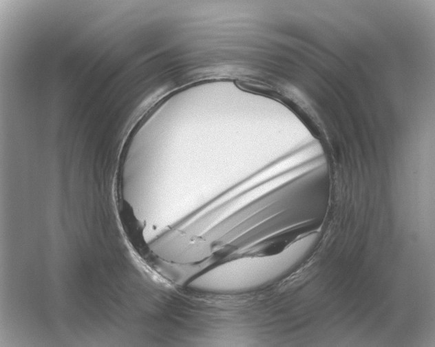 X0000063520946200602172210