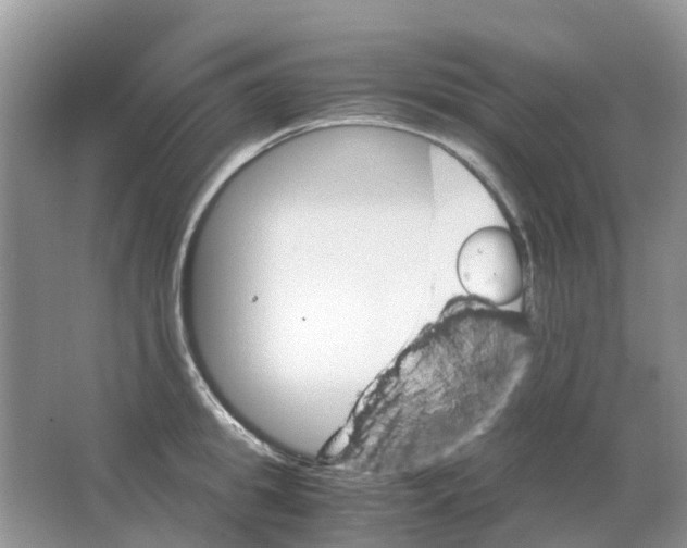 X0000063520949200602172210