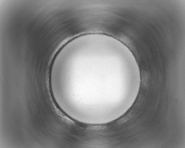 X0000063520950200602172210