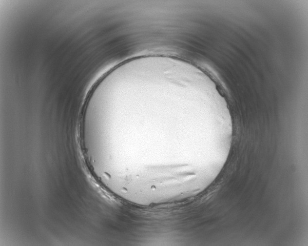 X0000063520952200602172210