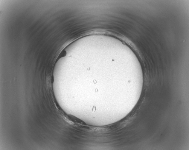 X0000063520953200602172210