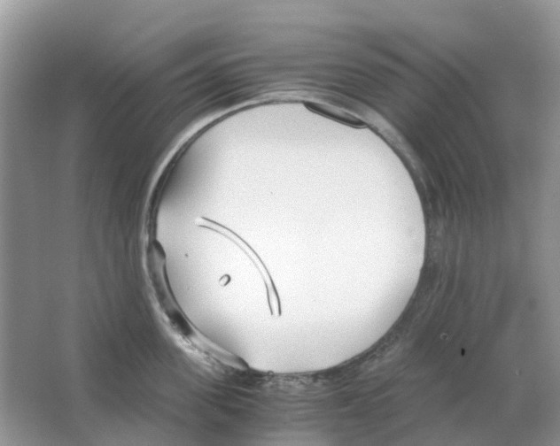 X0000063520955200602172211