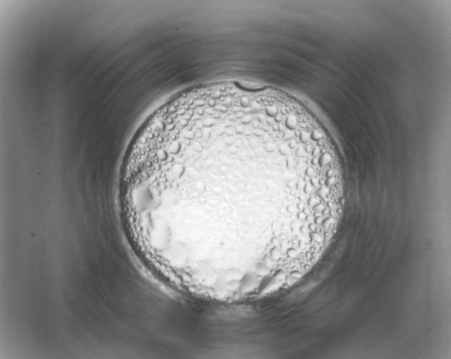 X0000063520957200602172211