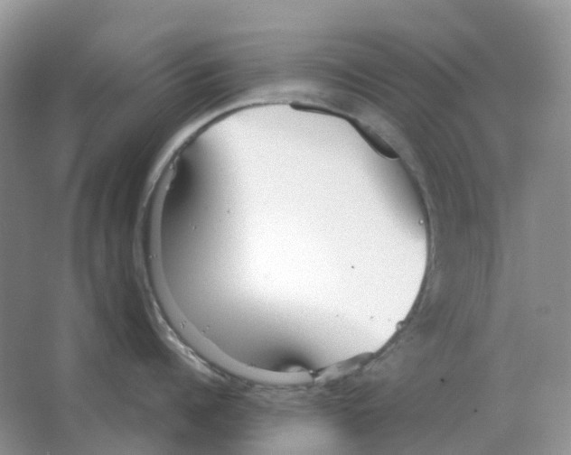 X0000063520960200602172211