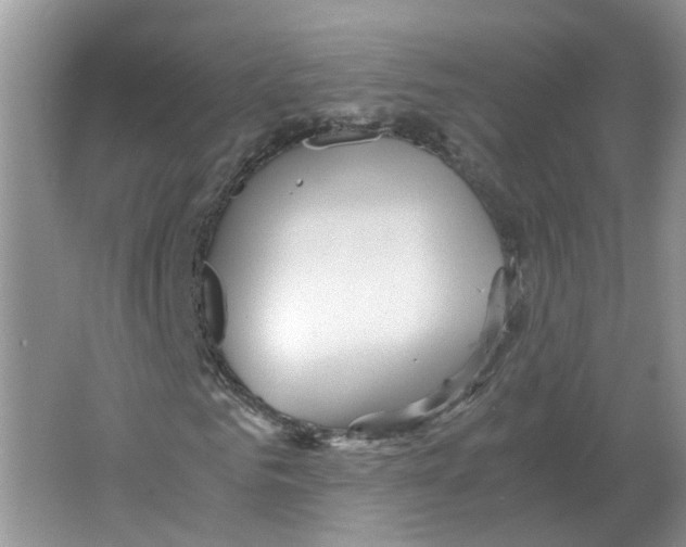 X0000063520961200602172210