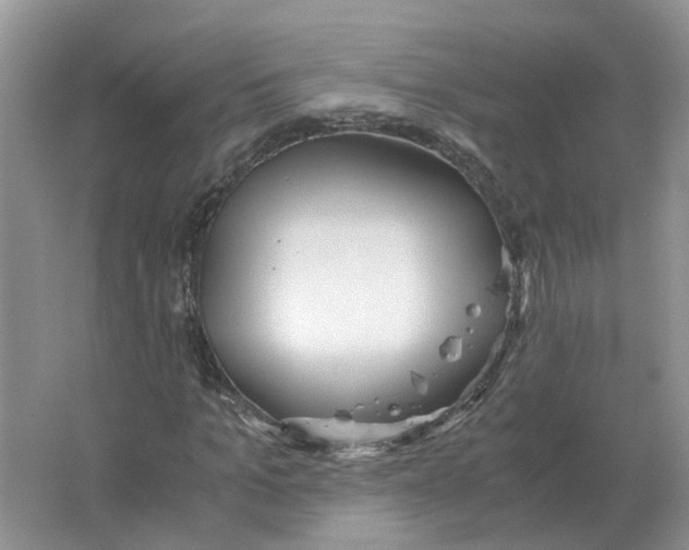 X0000063520965200602172210