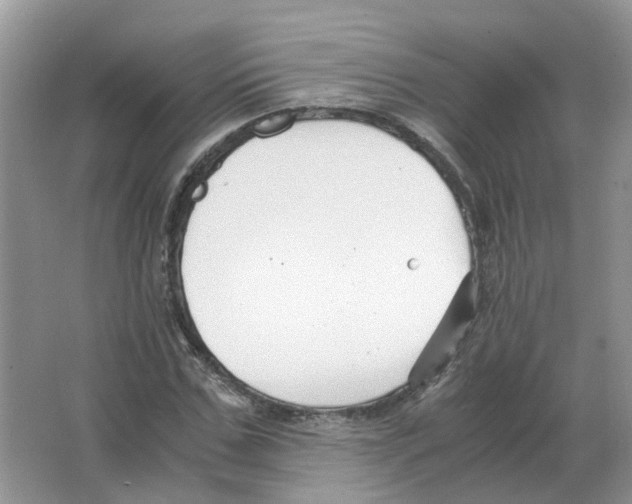 X0000063520971200602172210