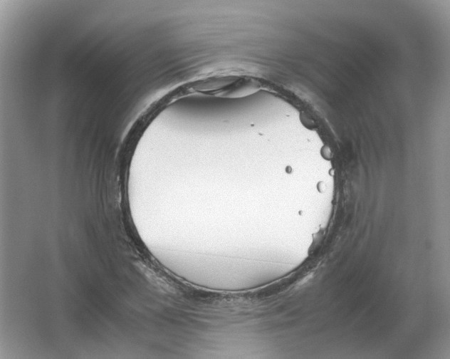 X0000063520973200602172209