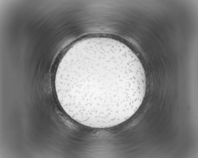 X0000063520974200602172209