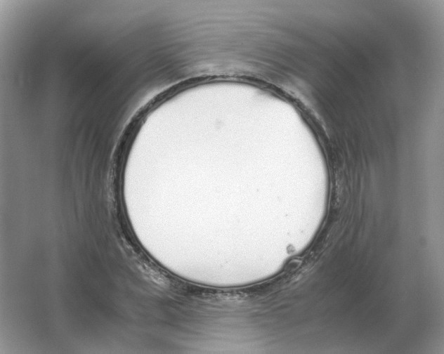 X0000063520975200602172209