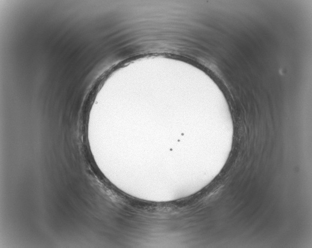 X0000063520979200602172209