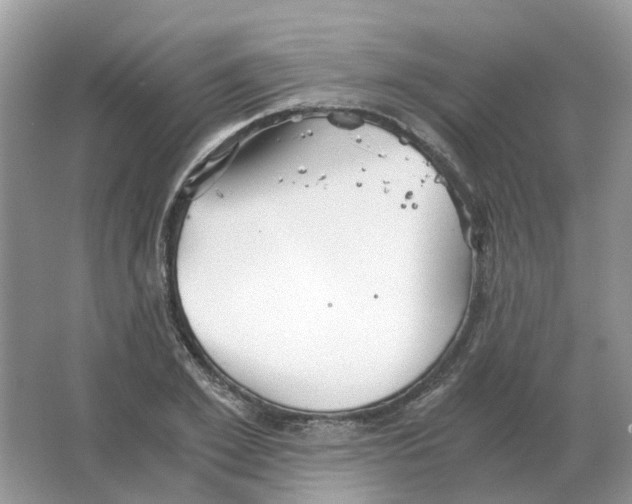 X0000063520981200602172209