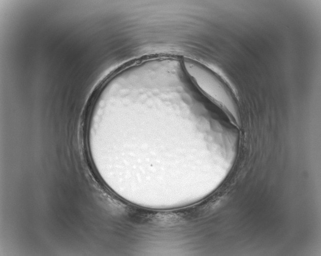 X0000063520983200602172209