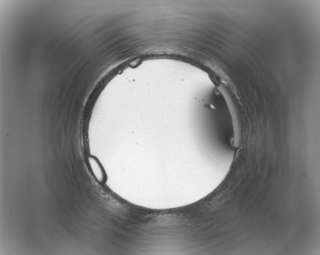 X0000063520984200602172209