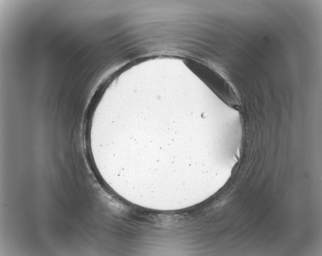 X0000063520987200602172209