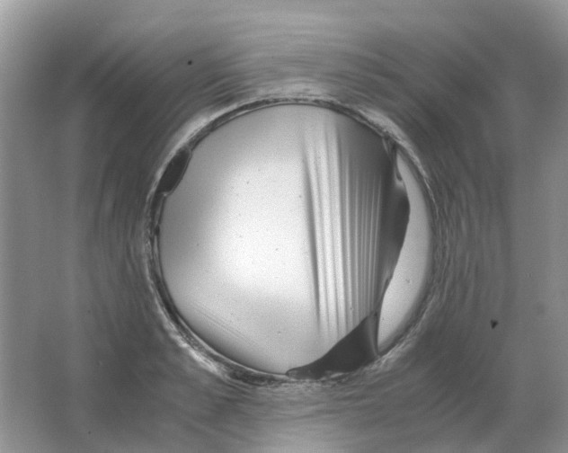 X0000063520989200602172209