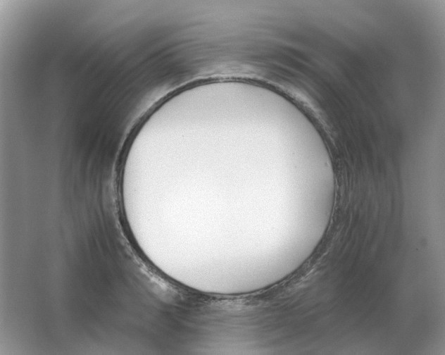 X0000063520990200602172209