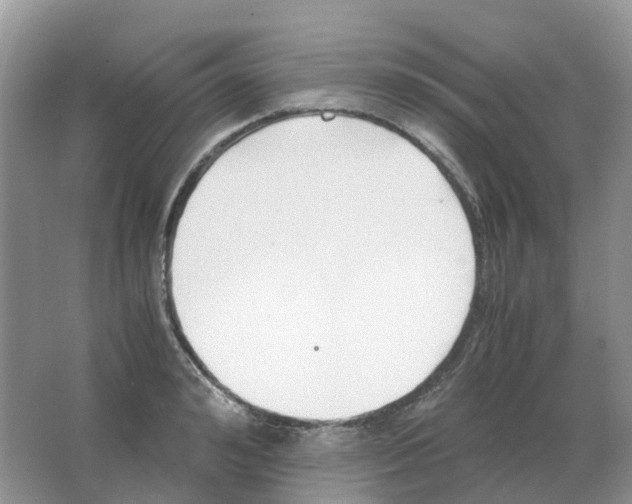 X0000063520992200602172209