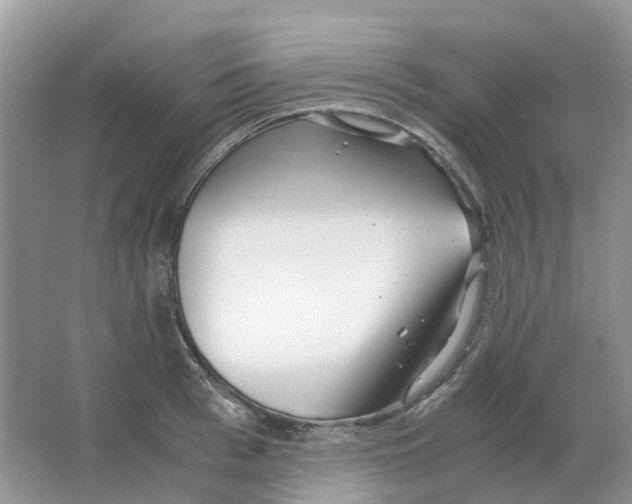 X0000063520993200602172209