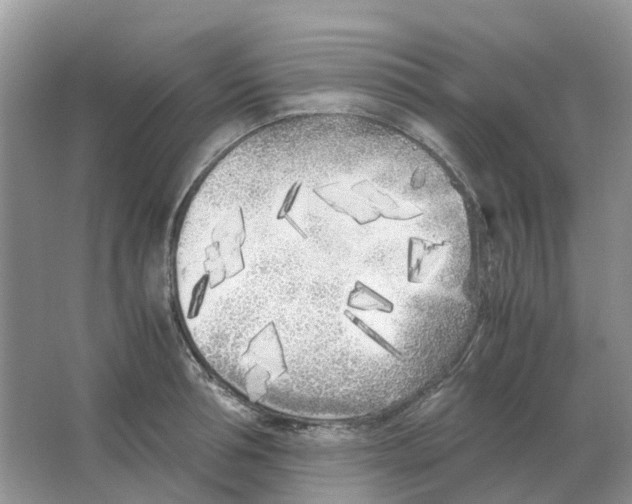 X0000063520994200602172209