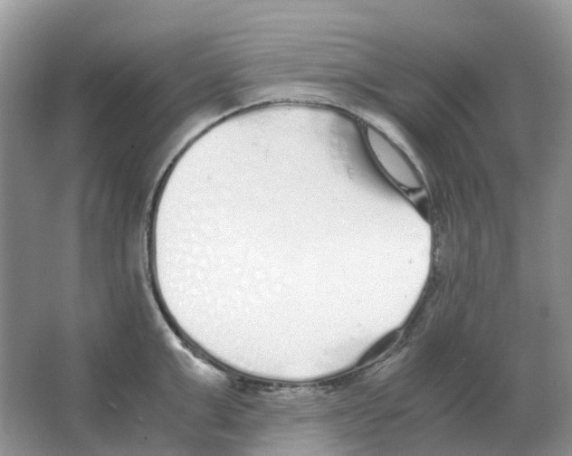 X0000063520999200602172209