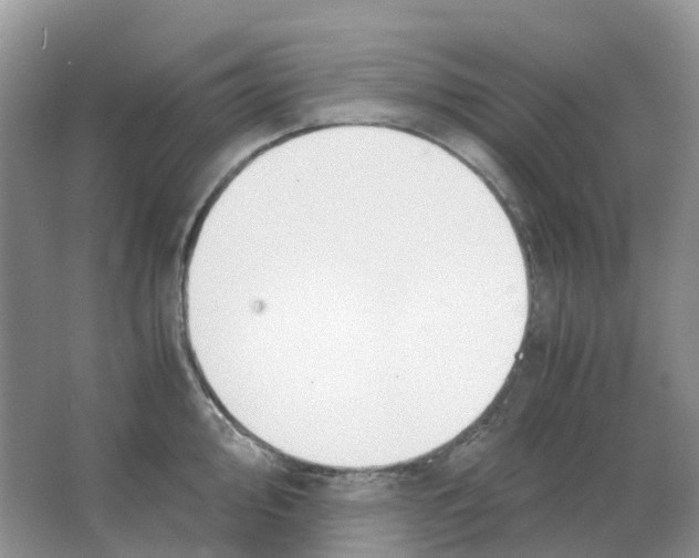 X0000063521000200602172209