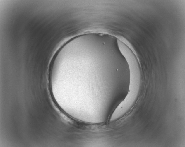 X0000063521005200602172209