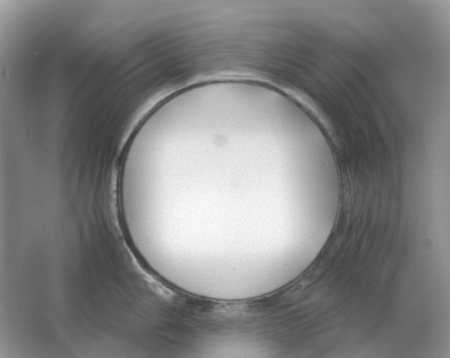 X0000063521006200602172209