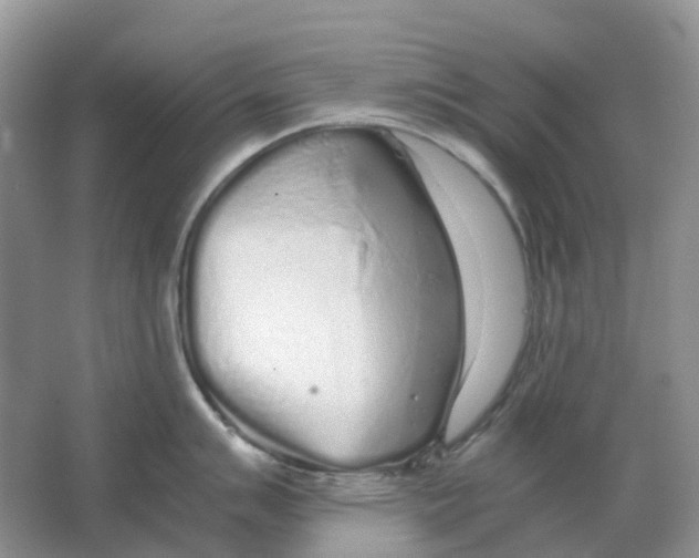 X0000063521007200602172209