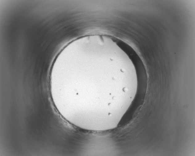 X0000063521008200602172209