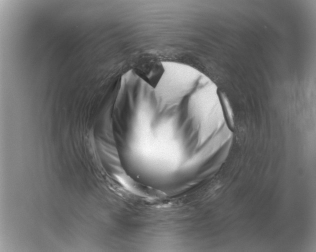 X0000063521010200602172208