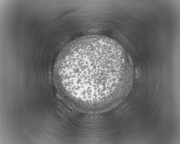 X0000063521011200602172208