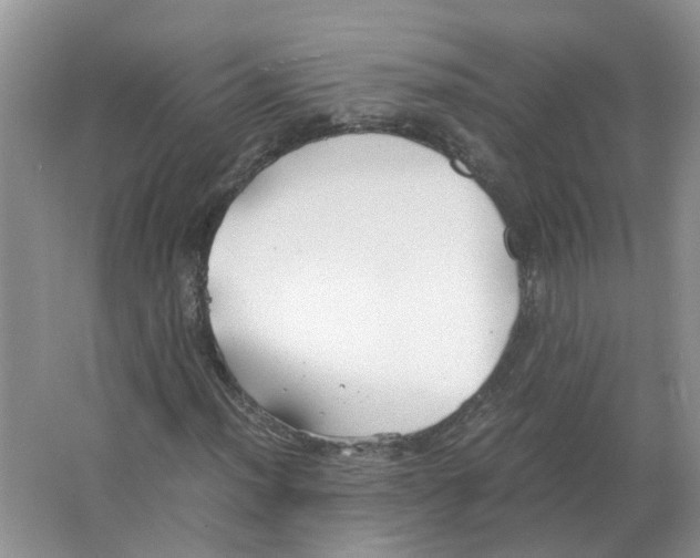 X0000063521012200602172208