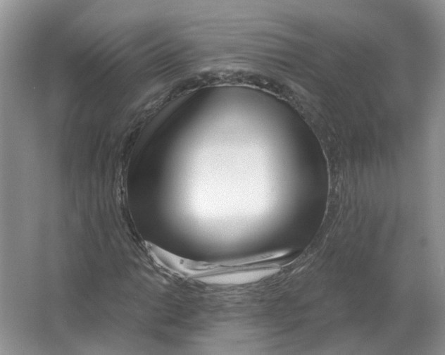 X0000063521014200602172208