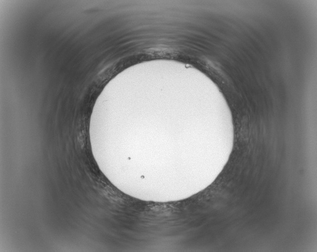 X0000063521015200602172208